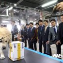 동물의 왕국 이미지