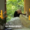 쿠레이션