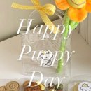 멍멍상회 이미지