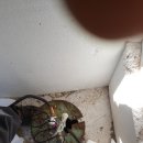 해피제이에스 이미지