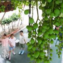 중흥2동행정복지센터 이미지