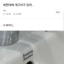 세면대에 개구리가 있어.. 이미지