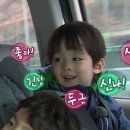 안동술상 티스토리