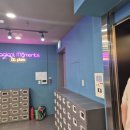 한원빌딩2 | 분당 수내 키즈카페 플렉스키즈 아기랑 내돈내산