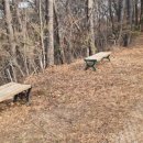 명동리 마을회관 이미지