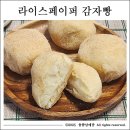 페이퍼피드 이미지