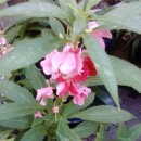 같은마음 이미지