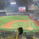 트윈스 | 추팔을 곁들인 엘지트윈스팬 후기..