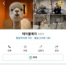 테이블에이 이미지