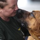 이송농장 이미지