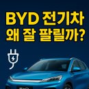 외산시장 | 테슬라 다음은 BYD? 한국 시장을 뒤흔든 가성비 전기차의 반전 매력