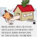팡팡 이미지