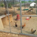 반곡농장 이미지