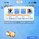 랜드피시 | TEMU 테무 후기 / 피쉬랜드 피시랜드 친구