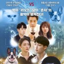 바로펫 주식회사 네이버블로그