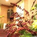 명성화원 이미지