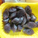 떡볶이참잘하는집 떡참 구미시청점 | 떡볶이참잘하는집 떡참 도시락보다알찬세트