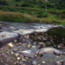 자연의 꿈 이미지