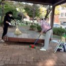 잎새달오하베르데