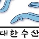 동진강 민물장어 이미지