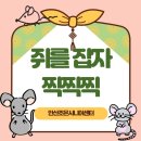 신나는 시니어 음악치료 | [안산요양원/상록구요양원/일동요양원] 안산조은시니어센터 20250623 맞춤프로그램/백세누리안산/인지수...
