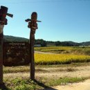 대호마을회관 이미지