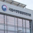 민가축병원 데일리벳