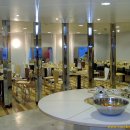 카멜리아 이미지