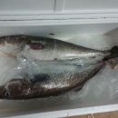 외포농장 이미지