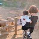 수인농원 이미지