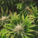 (주)올로 이미지