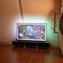 소나무세상 이미지