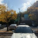 상남교회 맞은편 이미지