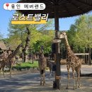 에버랜드 로스트밸리 평일 현장 줄서기 후회한 후기와 자리명당 꿀팁