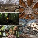 곤지암 동물병원 이미지