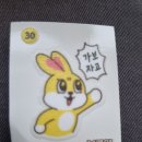 대양에스디