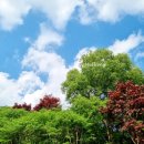 별빛산방 | 영동 계곡 여행 별빛산방 - 각호산 등산로 - 대복식당 버섯전골