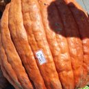 하동공원길 이미지