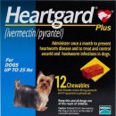 하트동물병원 이미지