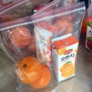 리본 프로젝트(Re:born project) 이미지