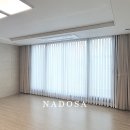 메리퀸나도사