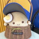 참토스트세종