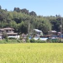 대평상사 이미지