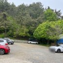 배가네부산밀면 | 김해 배가네 흥동 수제비 본점 내돈내산후기