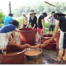 봉양중학교 이미지