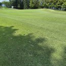 골프존카운티 안성H 이미지