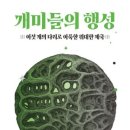개미
