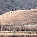 옛시루 동아일보