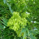 가평옛길 이미지