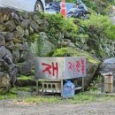 사지목나무그늘